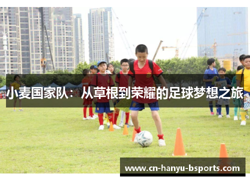 小麦国家队:从草根到荣耀的足球梦想之旅 小麦国家队:从草根到荣耀的足球梦想之旅